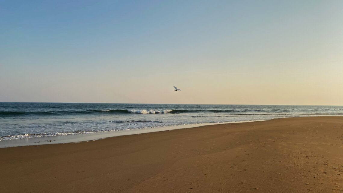 Was bedeutet uns die eigene Freiheit?