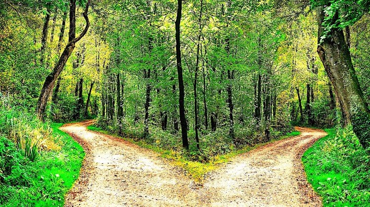 Wohin führen die Wege?